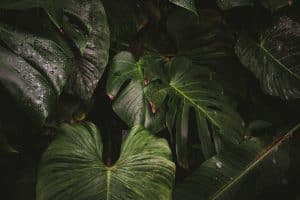 johannes-hofmann-_0fTSNoGtHE-unsplash
